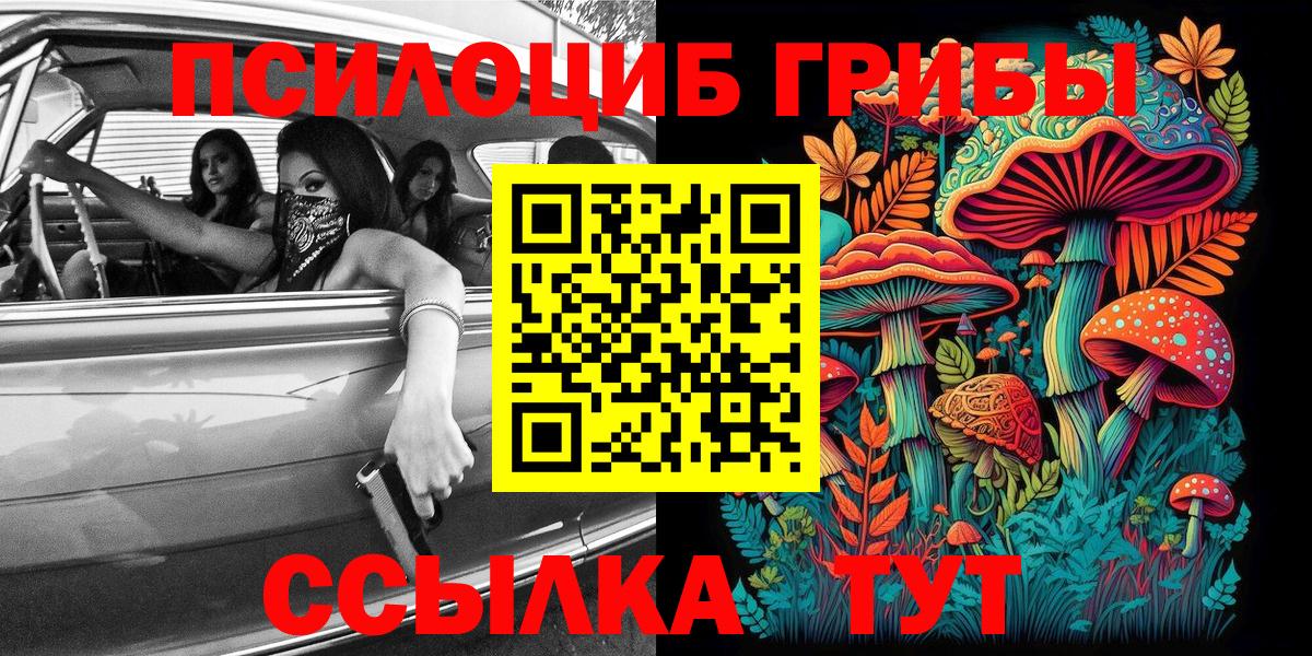 Тула  Галлюциногенные грибы прущие грибы  Вход с VPN 